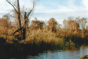Gewässer im Havelland im Herbst