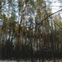An der Rheinstrasse