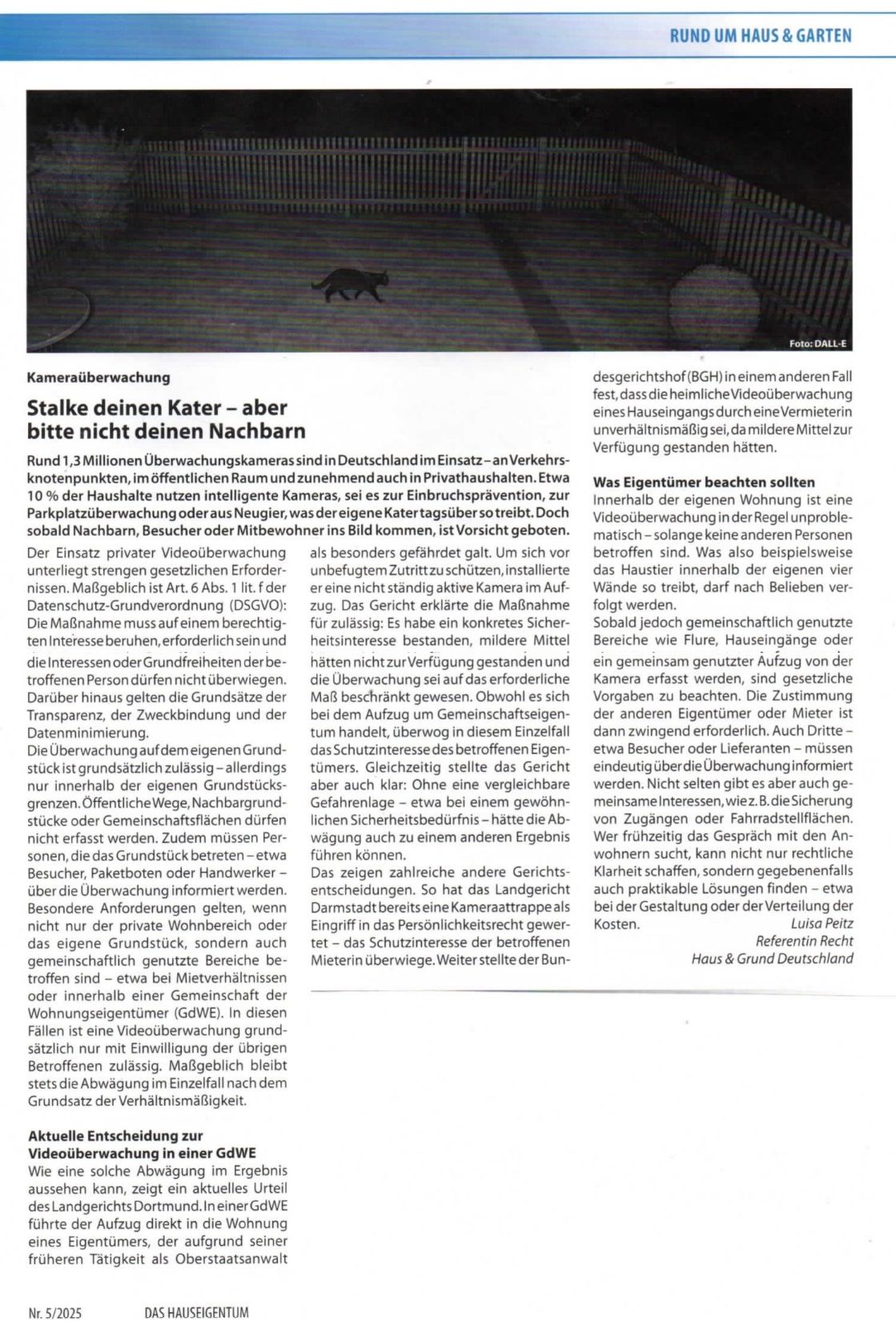 Stalke Deinen Kater aber bitte nicht deinen Nachbarn