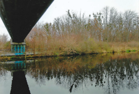 Wasser und Uferbereich des Havelkanals der Großgemeinde Brieselang 