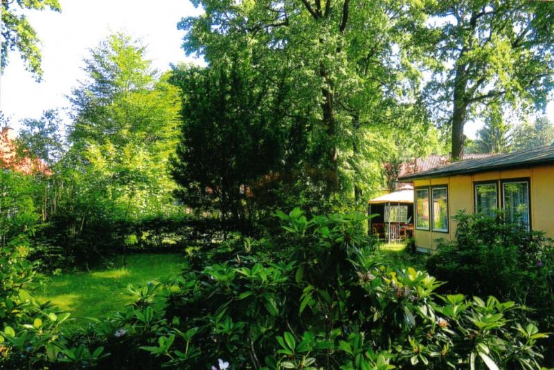 Conjugation of German verb wohnen visual data 5