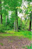 Conjugation of German verb wohnen visual data 4